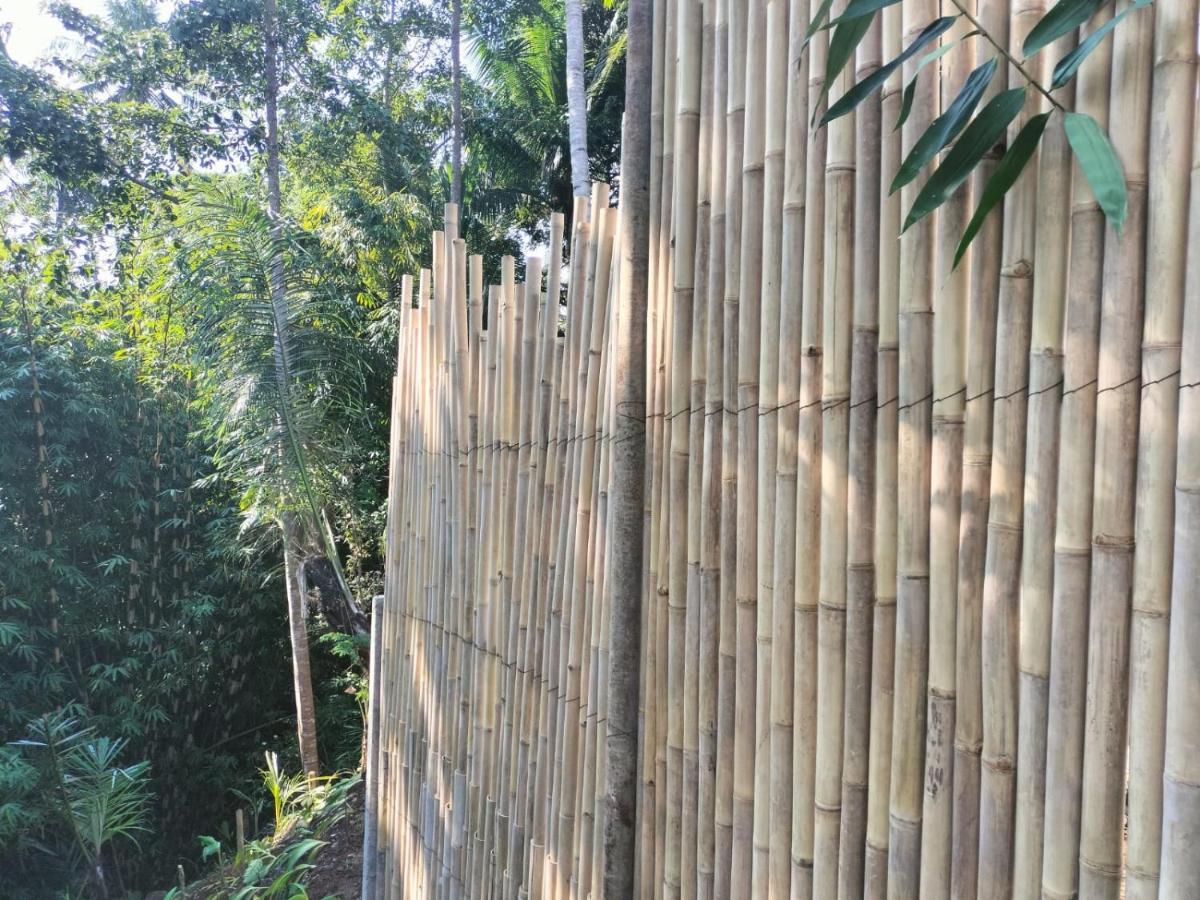 Baruna Sari Villa Ubud Buitenkant foto