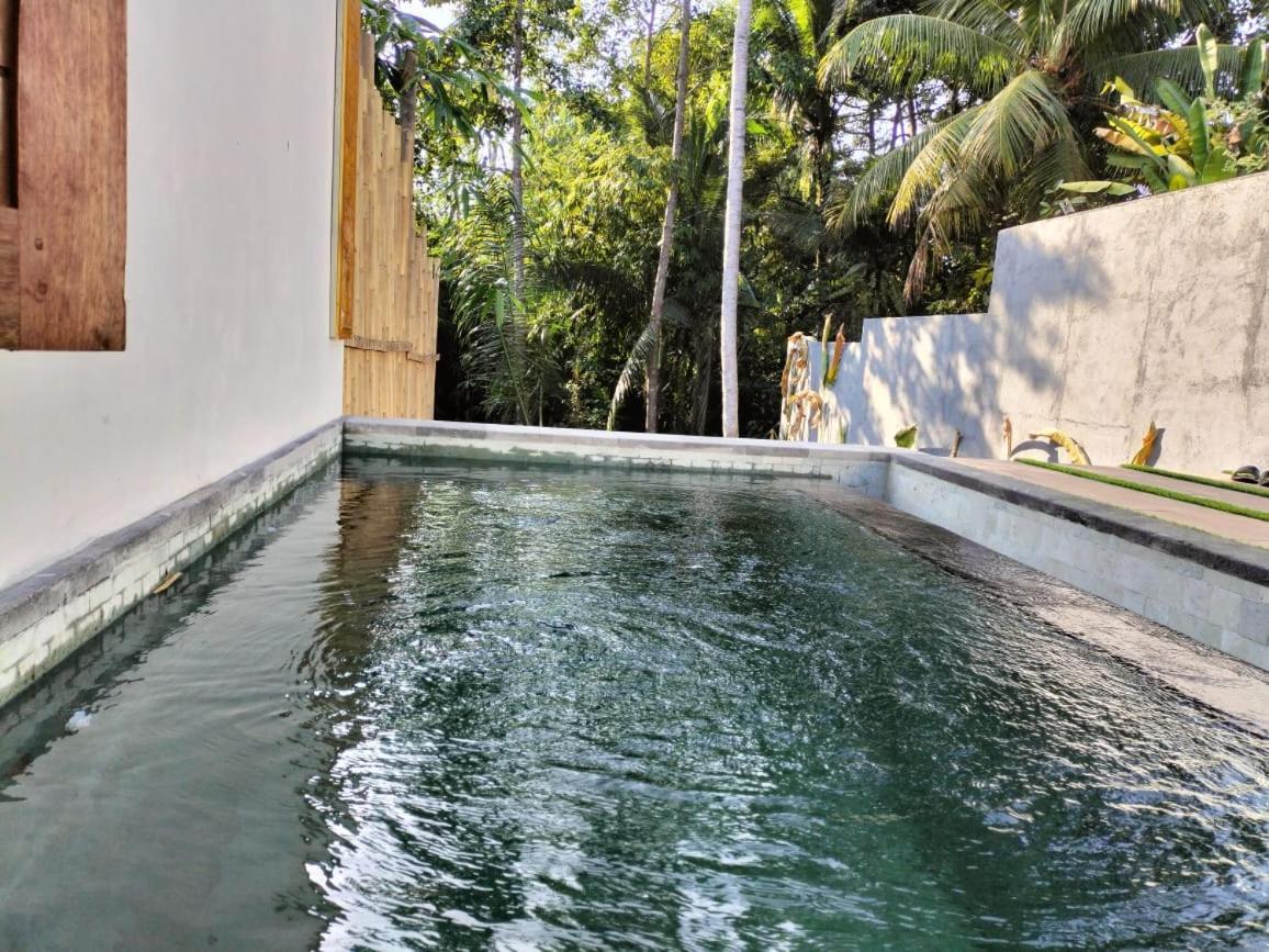 Baruna Sari Villa Ubud Buitenkant foto